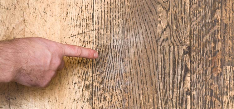 Wood Door Scratch Repair in Gonzales